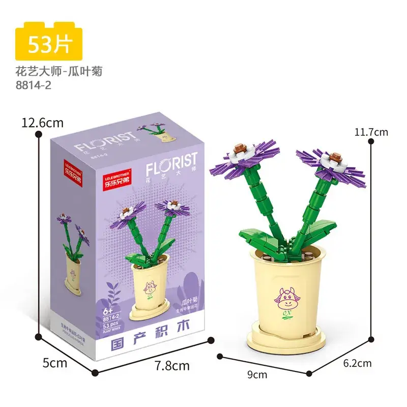 Cineraria 8814-2