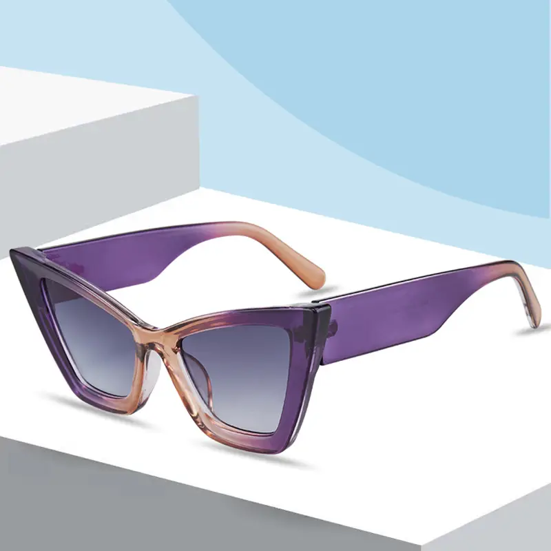 New Large Frame Cat Eye Sunglasses for Women - Image 10