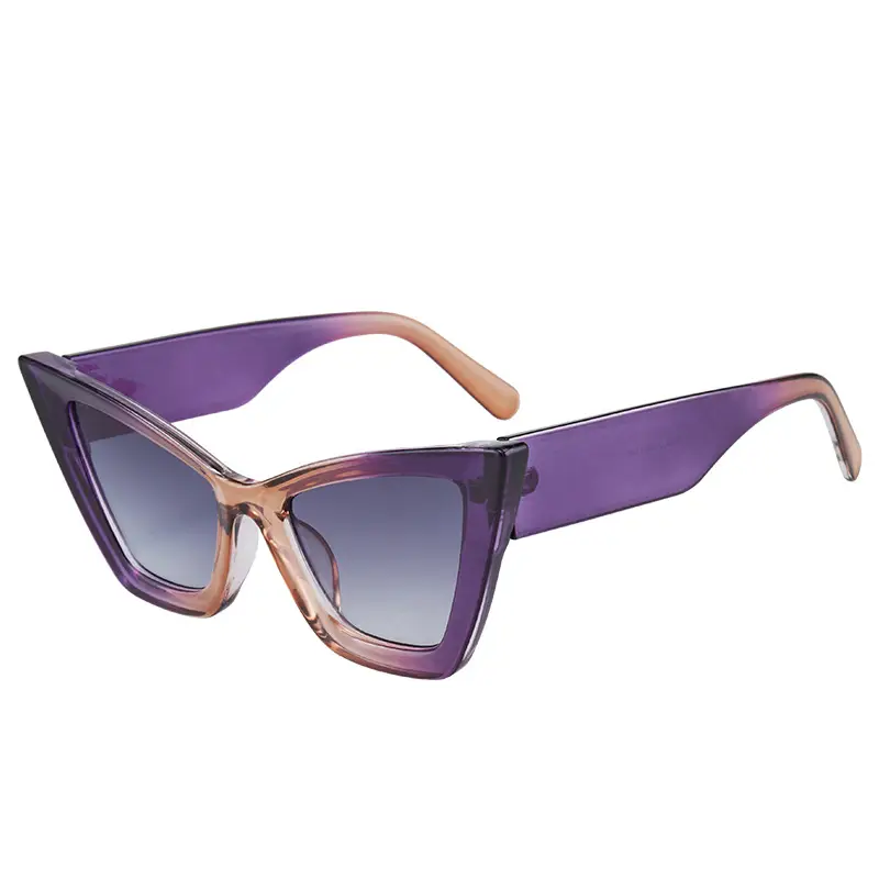 New Large Frame Cat Eye Sunglasses for Women