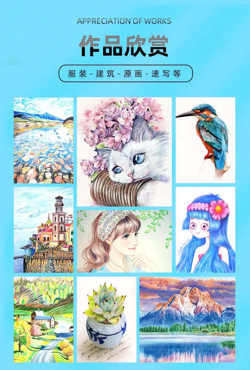Cross-Border Plastic Colored Pencils Wholesale Student Special Painting Pencil Set Oily Colored Pencils Children's Art Supplies — feature 14