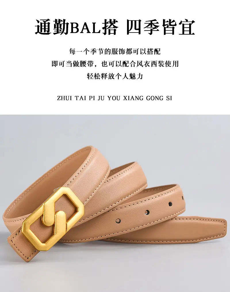 Tie Belt with Gold Plate Buckle Brown β feature 2