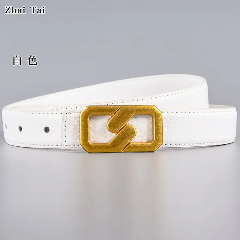 Tie Belt with Gold Plate Buckle Brown - Image 2