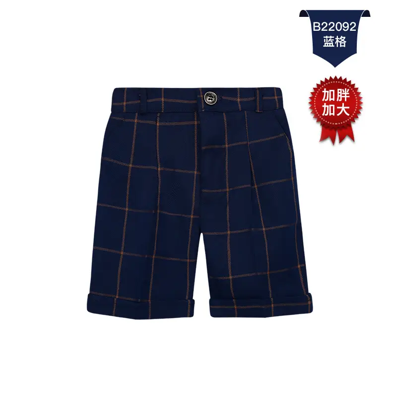 B22092 blue grid (fat version)