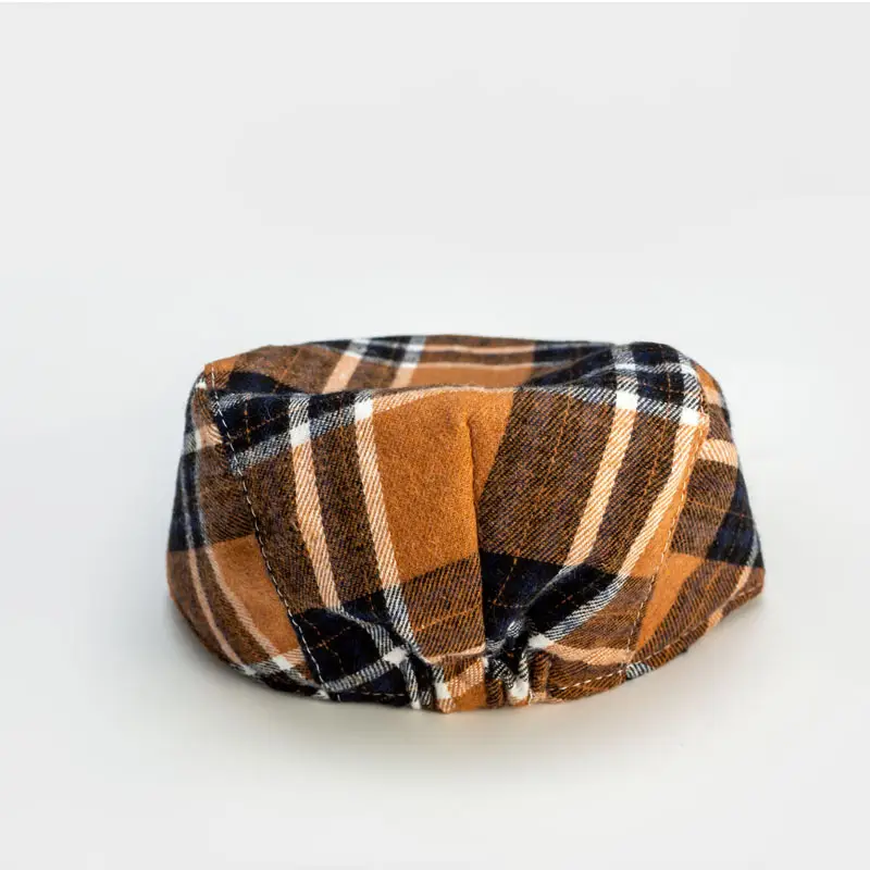 Plaid Baby Cap for Boys Spring Autumn Wear - Image 4