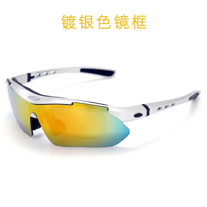 Polarized Sunglasses with Silver Frame for Men Women