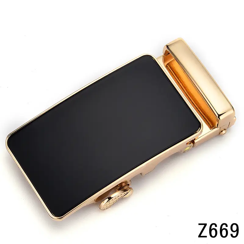 Z669