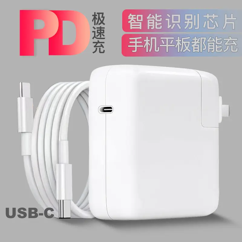 Fast Charging USB-C to Type-C Cable 200cm