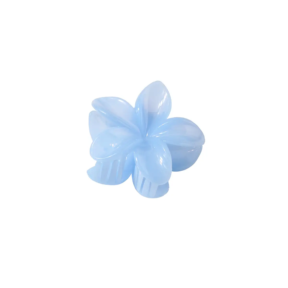 Guanyang Cross-border Large Egg Flower Frosted Grab Clip