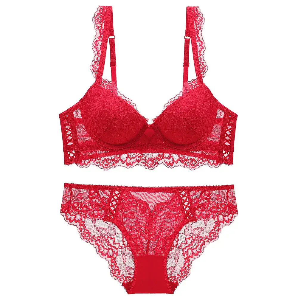 New Arrival Lace Push-Up Bra Set for Women - Image 2