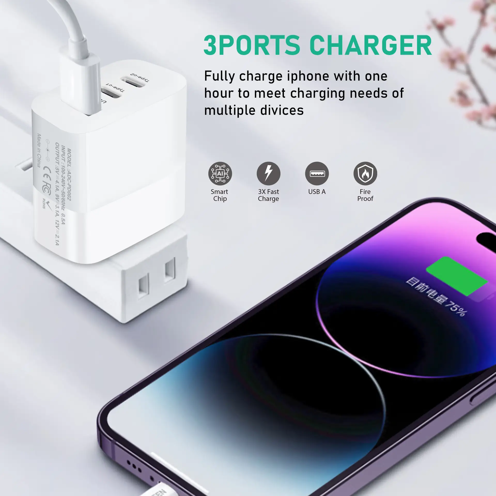 30W European Plug for Mobile Phone Charging — feature 4