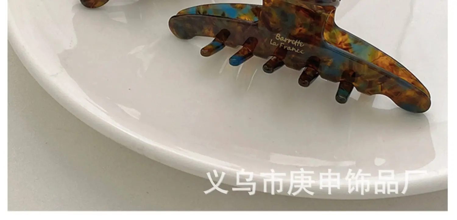 Elegant Hairpin Women's Back Clip Shark Clip — feature 11