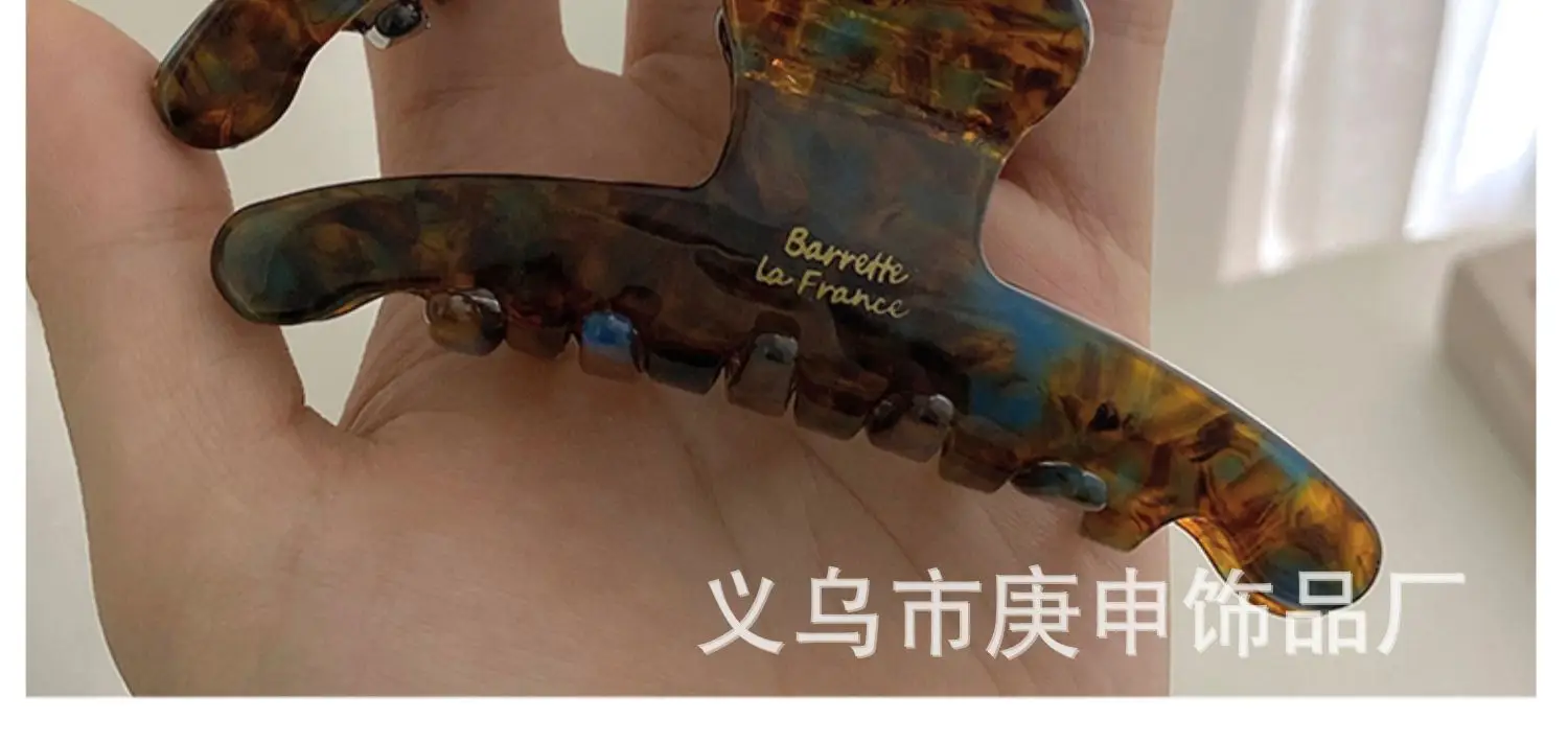 Elegant Hairpin Women's Back Clip Shark Clip — feature 13