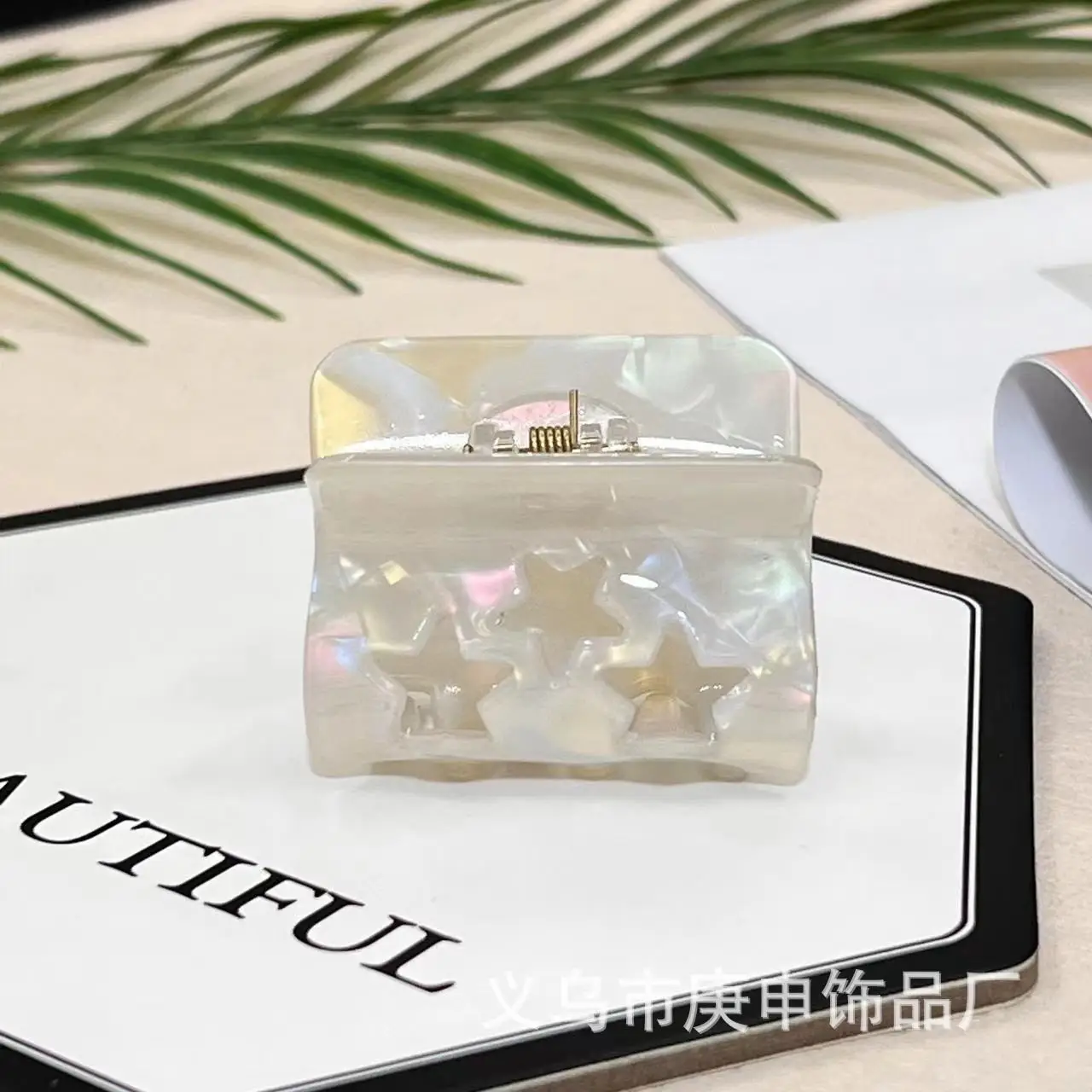 Elegant Hairpin Women's Back Clip Shark Clip - Image 155