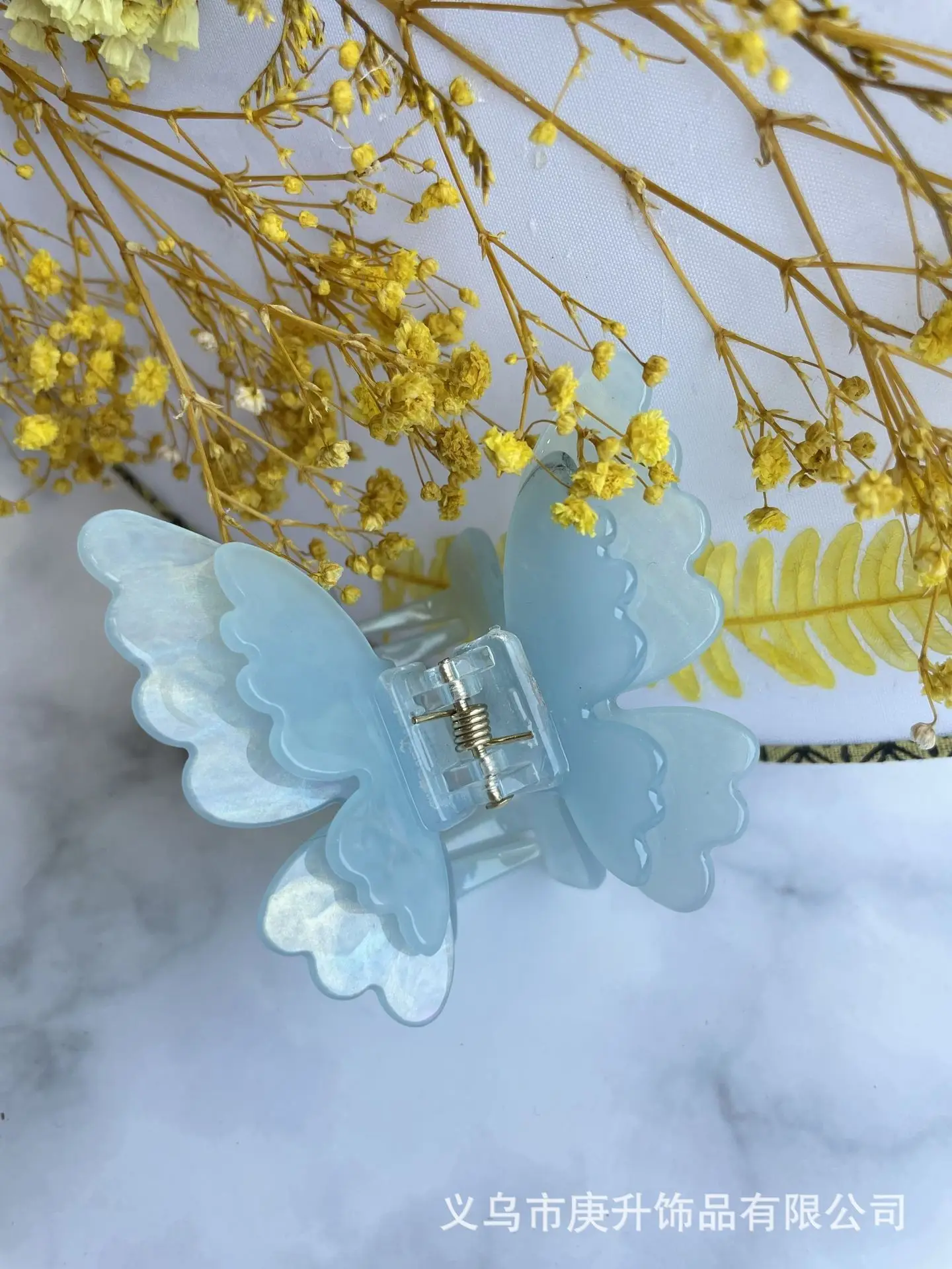 Elegant Hairpin Women's Back Clip Shark Clip - Image 256