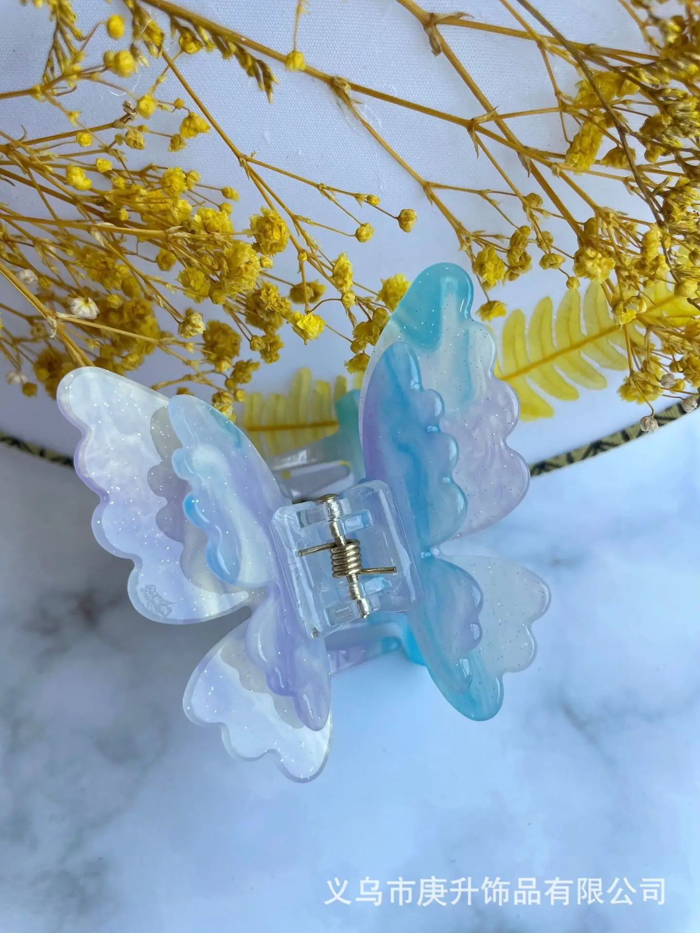 Elegant Hairpin Women's Back Clip Shark Clip - Image 260