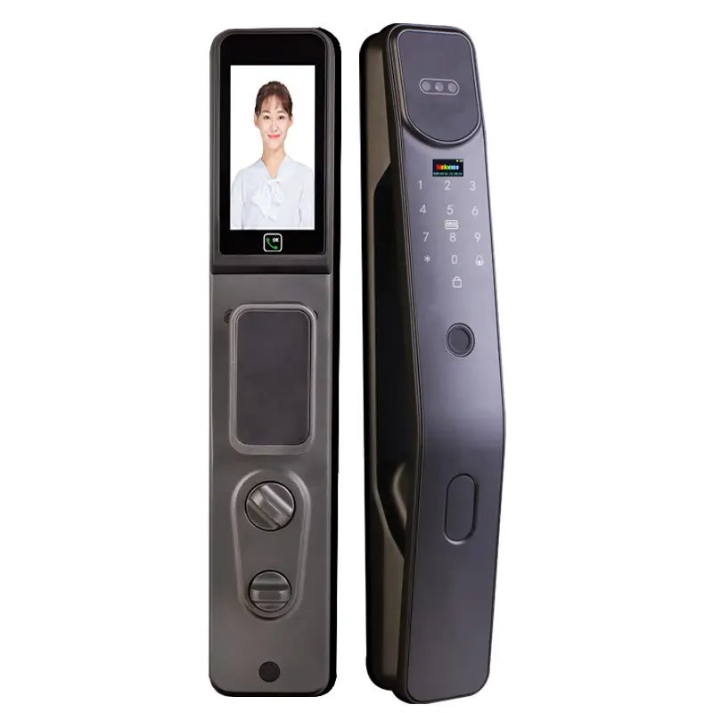 Home-Use Cross-Border Graffiti Smart Lock Fully Automatic Facial Recognition Smart Lock for Entry Doors Fingerprint Password Lock Wholesale - Image 6
