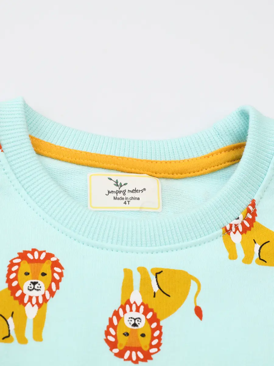 Boys' Light Blue Lion Print Sweatshirt Long Sleeve 2026 - Image 3