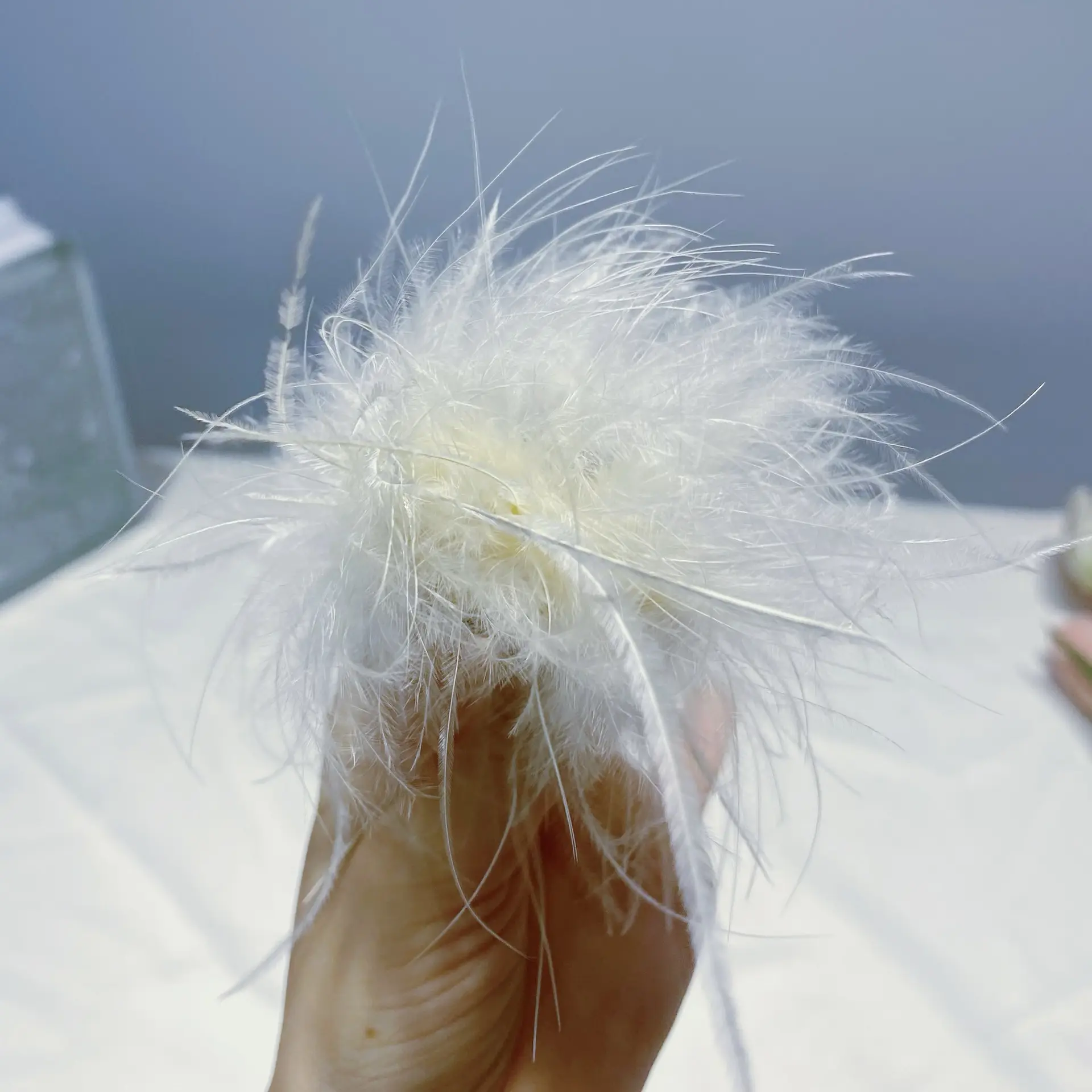 Ostrich Feather Hairpin for Women Back Head Clip Black - Image 2