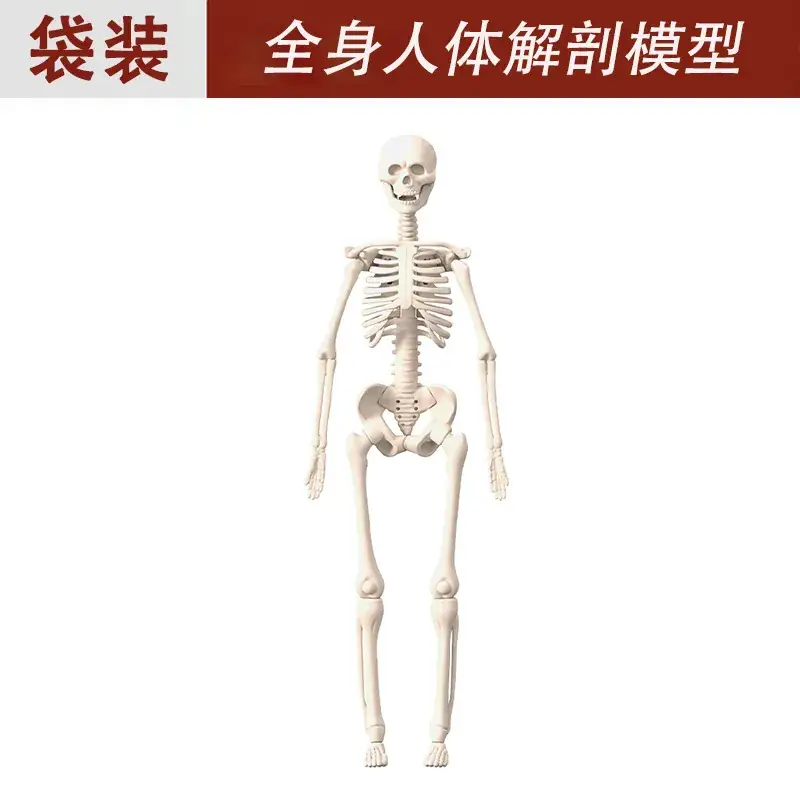 Separate skeleton part