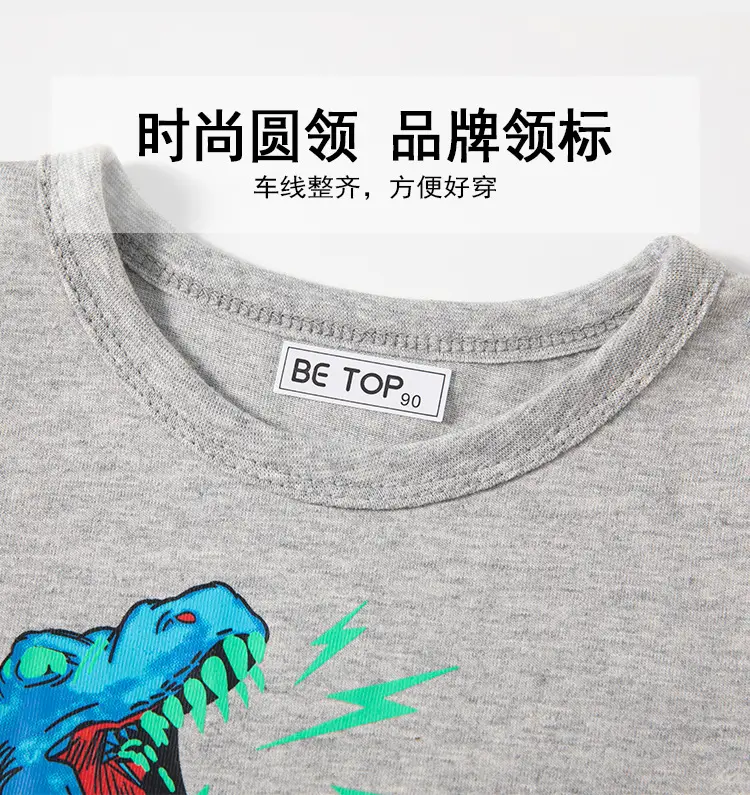 Be Top Kids Cotton T-Shirt Gray Dinosaur Print — feature 9