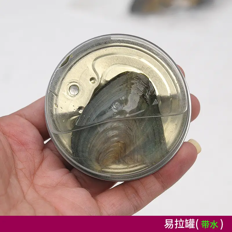 Pearl Clam Blind Box Gift Set for Women - Image 2