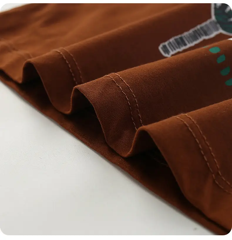 Boys Long Sleeve T-Shirt Dinosaur Print Pure Cotton Brown — feature 14