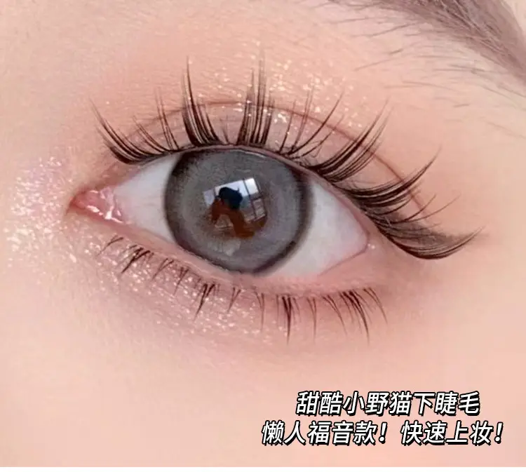 Cute Ciliary Shangpin Lazy Man Segmented Lower Eyelash Cat Ear Transparent Terrier Trilogy Single Cluster Segmented Novice False Eyelash — feature 4