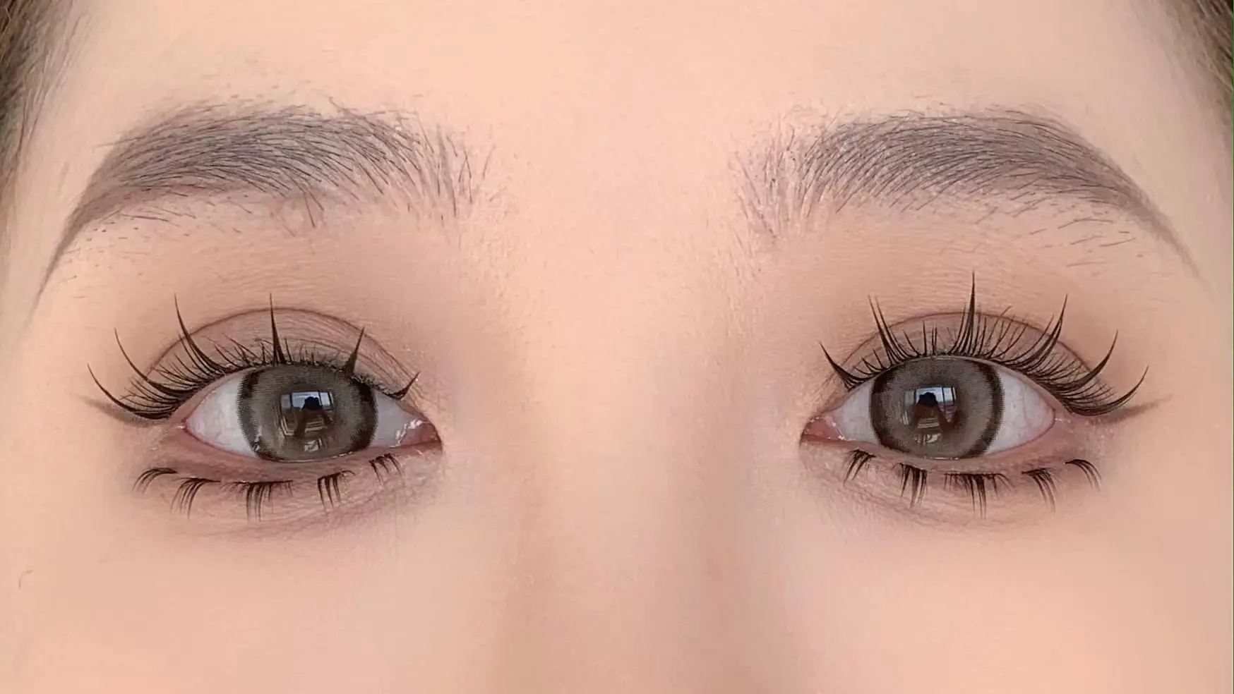 False Eyelashes for Dogs Transparent Stem Set — feature 3