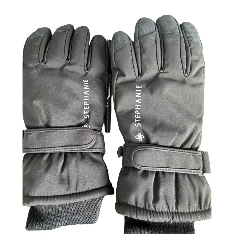 Wholesale winter ski gloves windproof waterproof fleece-lined warm touch screen outdoor riding electric car gloves thickened men