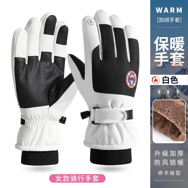 Wholesale winter ski gloves windproof waterproof fleece-lined warm touch screen outdoor riding electric car gloves thickened men