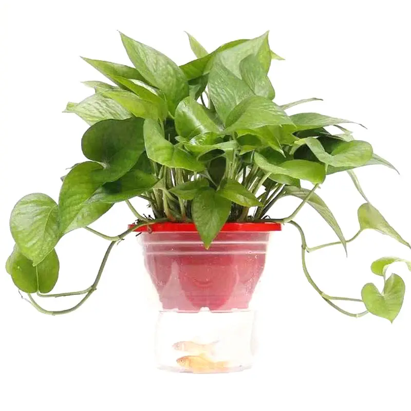 Lazy Flower Pot Automatic Water Absorbing Transparent Green Flower Pot Hydroponic Chlorine Household Flower Pot Balcony Non-watering Outer Pot