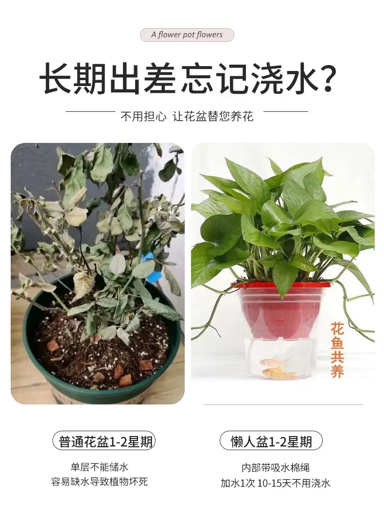 Lazy Flower Pot Automatic Water Absorbing Transparent Green Flower Pot Hydroponic Chlorine Household Flower Pot Balcony Non-watering Outer Pot — feature 7