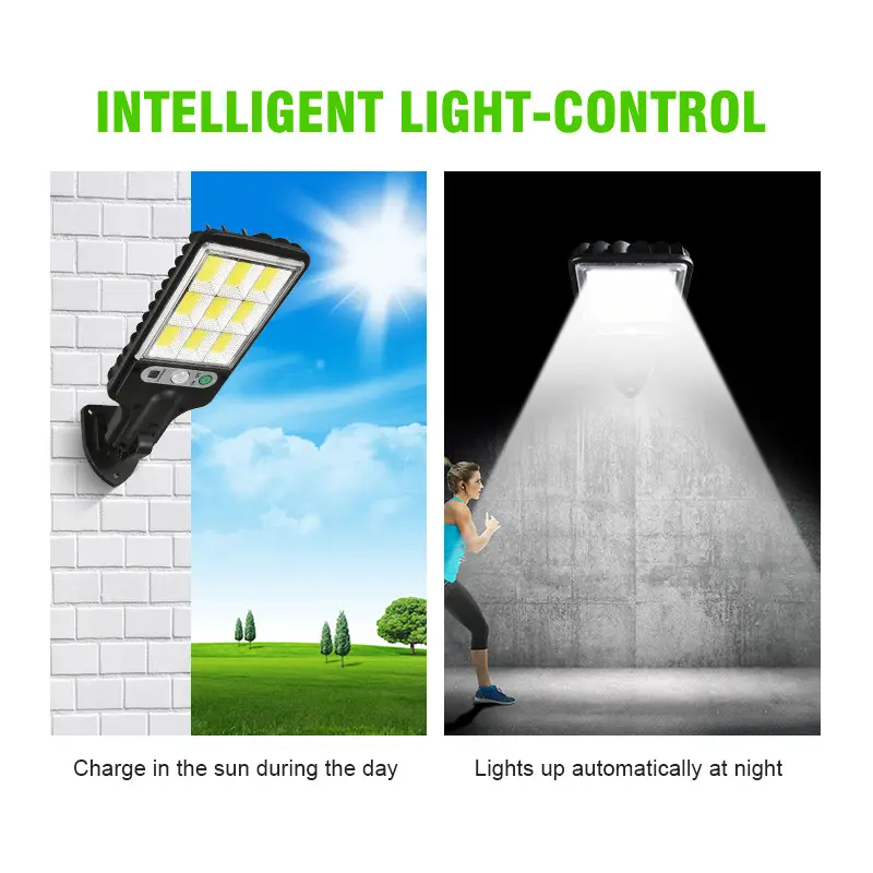 Solar LED Garden Lights with Remote Control