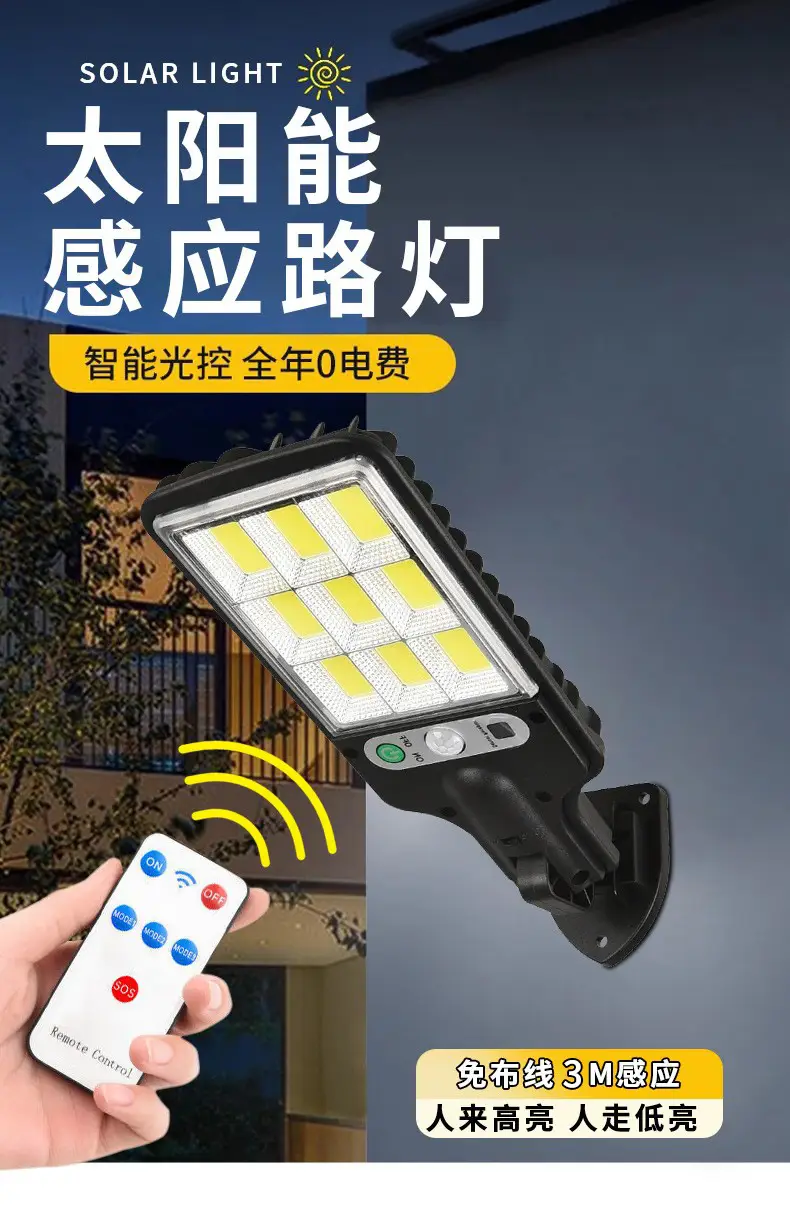 Solar LED Garden Lights with Remote Control — feature 3