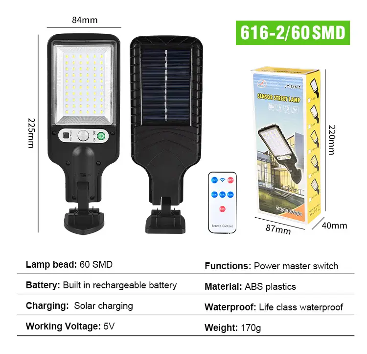 Solar LED Garden Lights with Remote Control