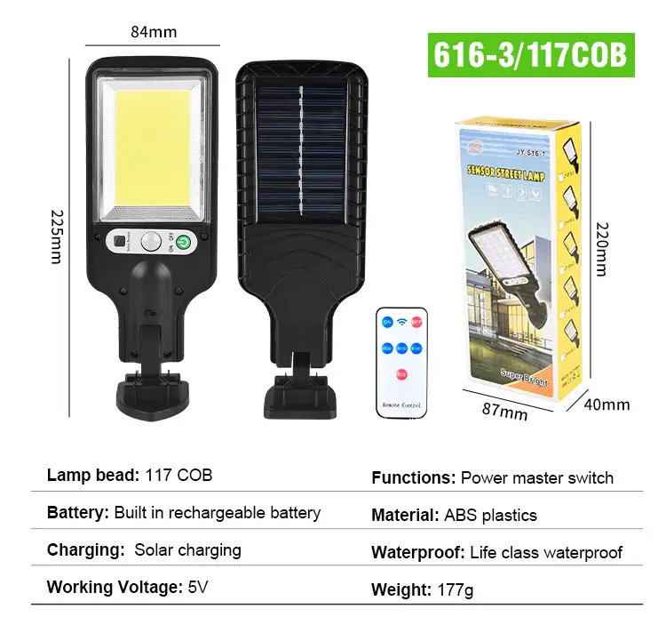 Solar LED Garden Lights with Remote Control