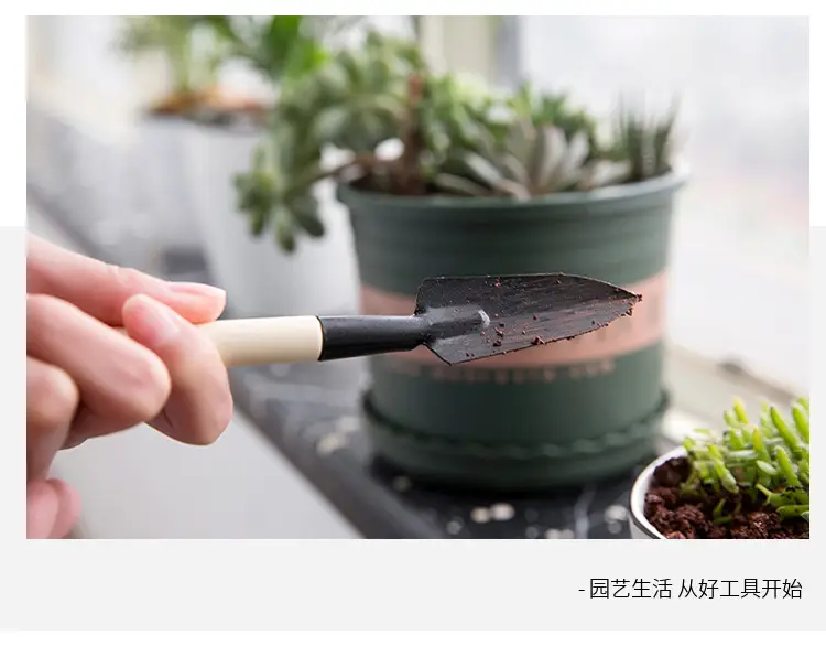 Wholesale garden planting flowers and succulent garden planting tools suit small shovel iron rake gardening three-piece set — feature 11