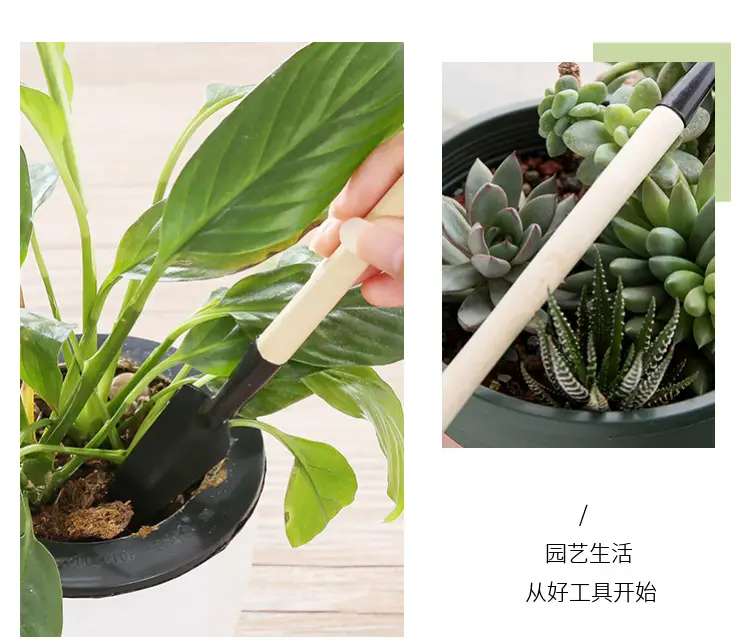 Wholesale garden planting flowers and succulent garden planting tools suit small shovel iron rake gardening three-piece set — feature 17