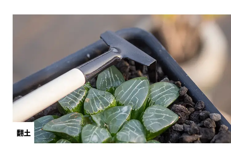 Wholesale garden planting flowers and succulent garden planting tools suit small shovel iron rake gardening three-piece set — feature 4