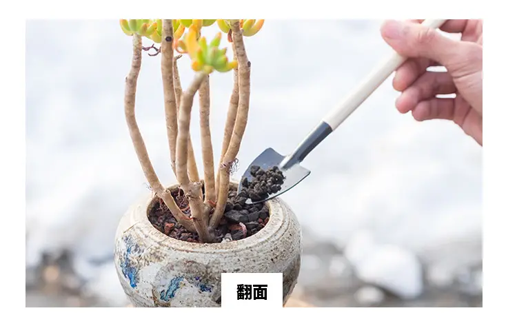 Wholesale garden planting flowers and succulent garden planting tools suit small shovel iron rake gardening three-piece set — feature 5