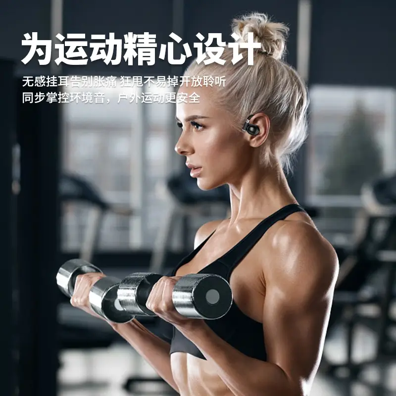Wireless Bluetooth Earphones with Translation & Voice Assistant