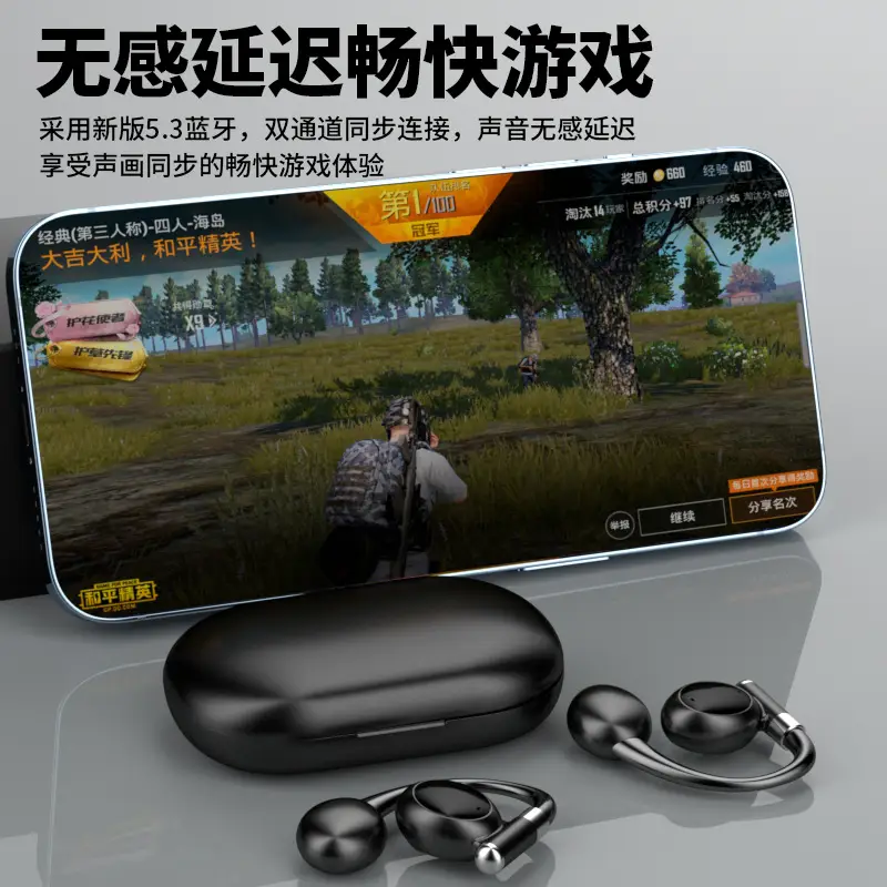Wireless Bluetooth Earphones with Translation & Voice Assistant