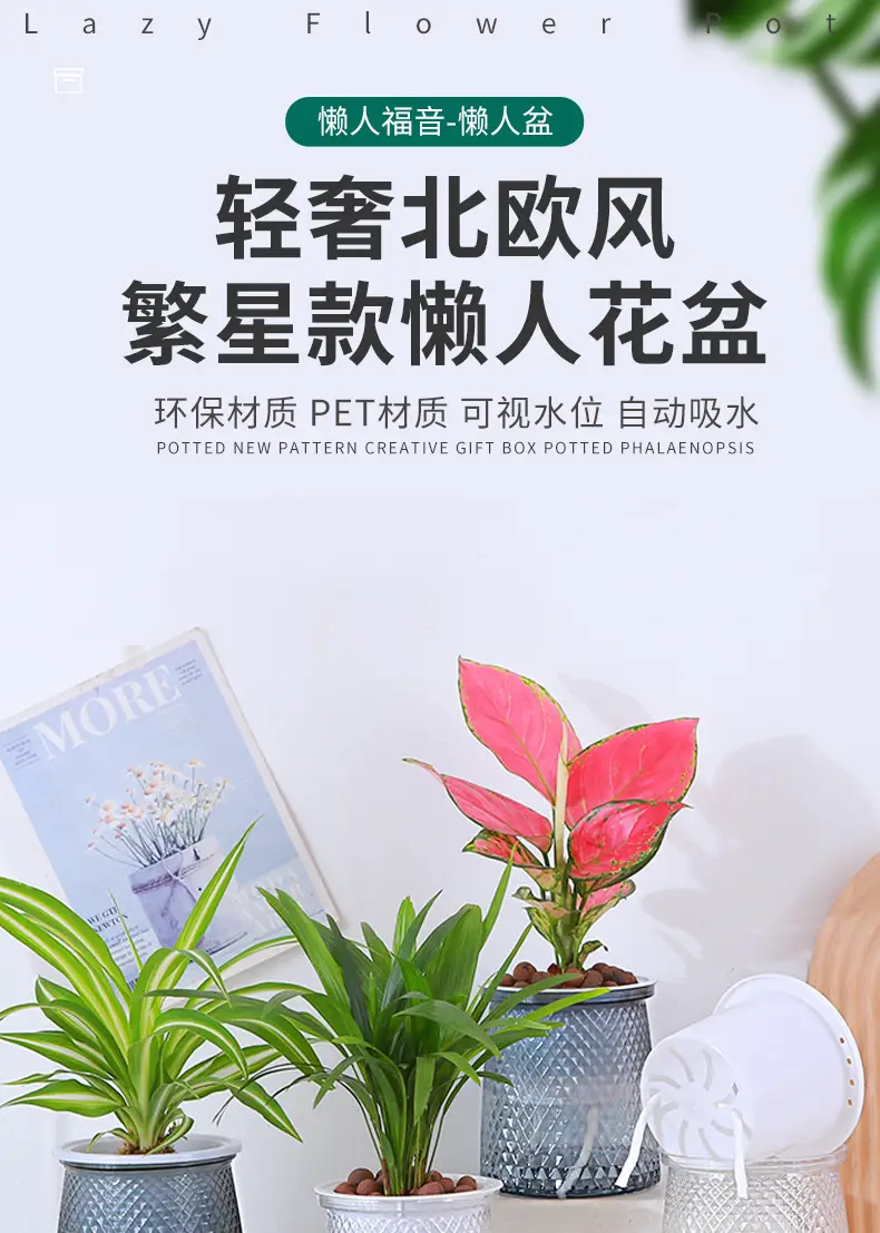 Water-free Internet celebrity new automatic absorbent lazy Basin light luxury lazy plastic flower arrangement Nordic style hydroponic flower pot — feature 1
