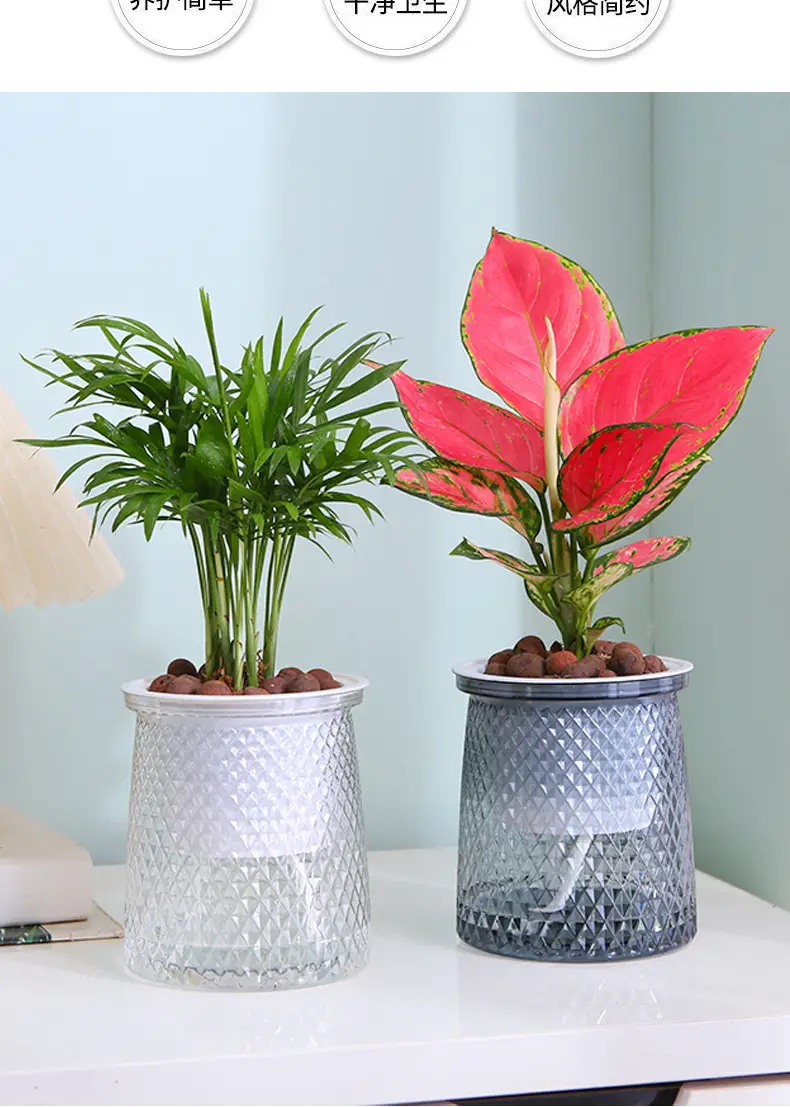 Water-free Internet celebrity new automatic absorbent lazy Basin light luxury lazy plastic flower arrangement Nordic style hydroponic flower pot — feature 12