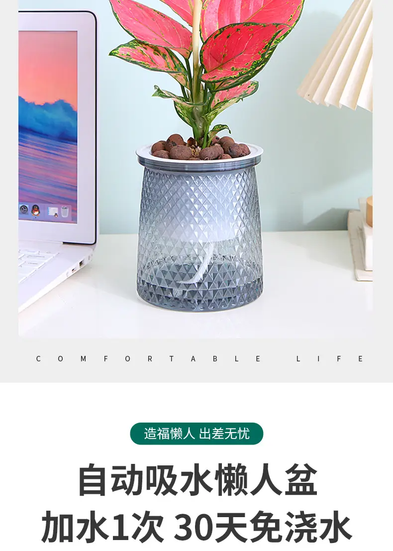 Water-free Internet celebrity new automatic absorbent lazy Basin light luxury lazy plastic flower arrangement Nordic style hydroponic flower pot — feature 4