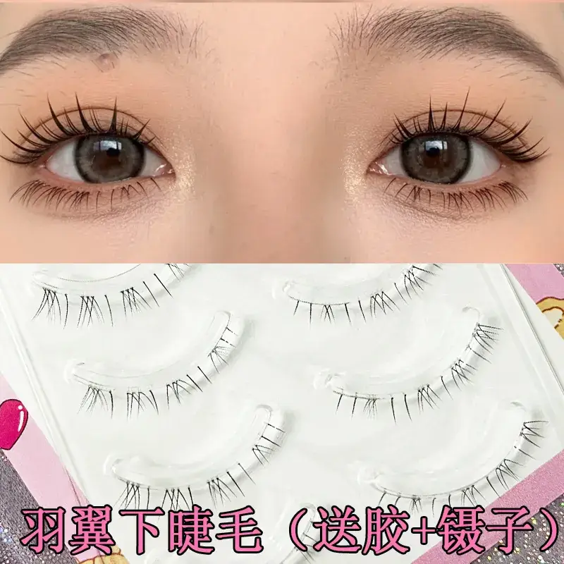 Transparent Terrier False Eyelashes 5 Pairs Natural Style - Image 25