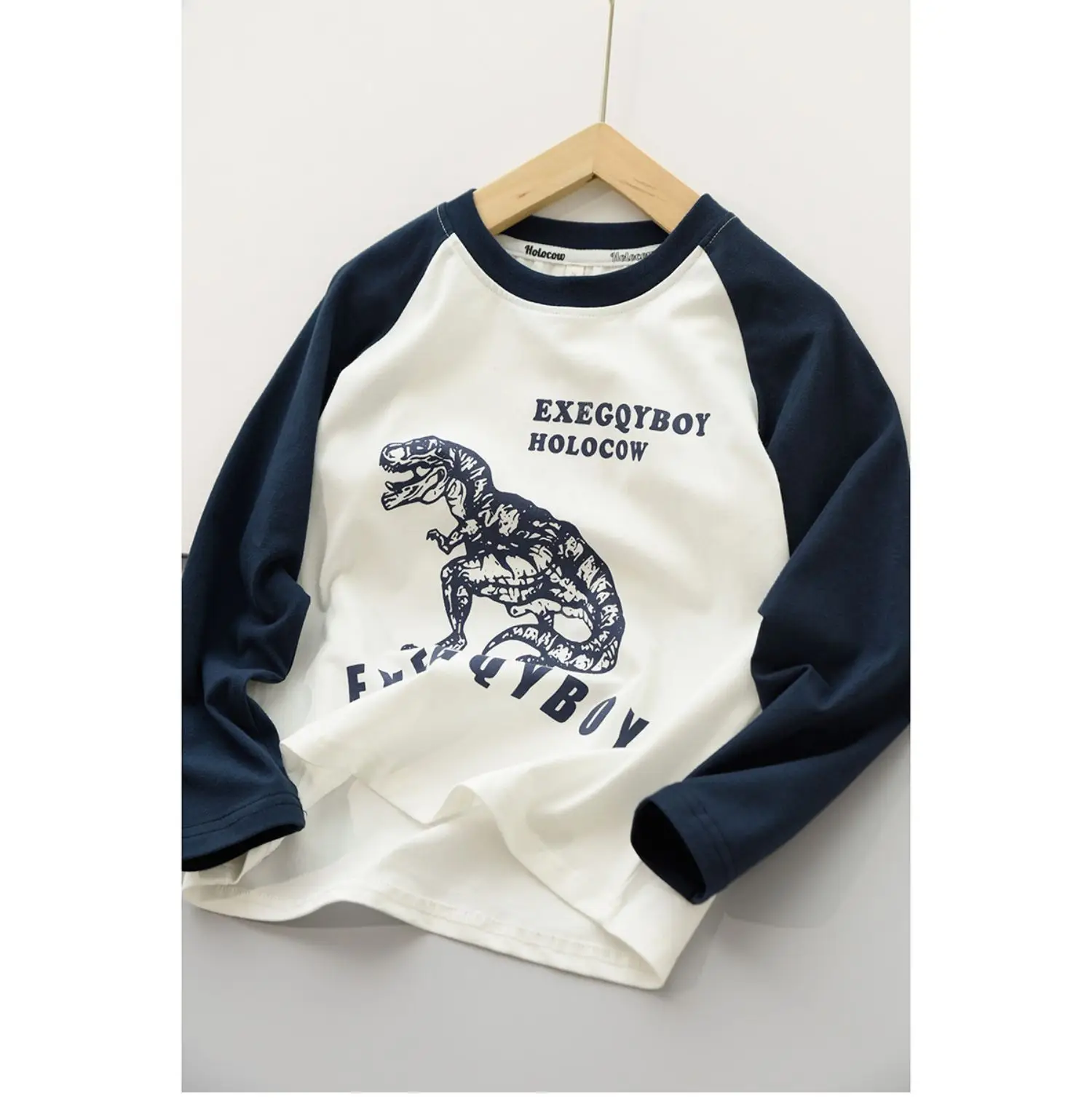 170x Boys Cotton Dinosaur Sweatshirt White Blue — feature 11