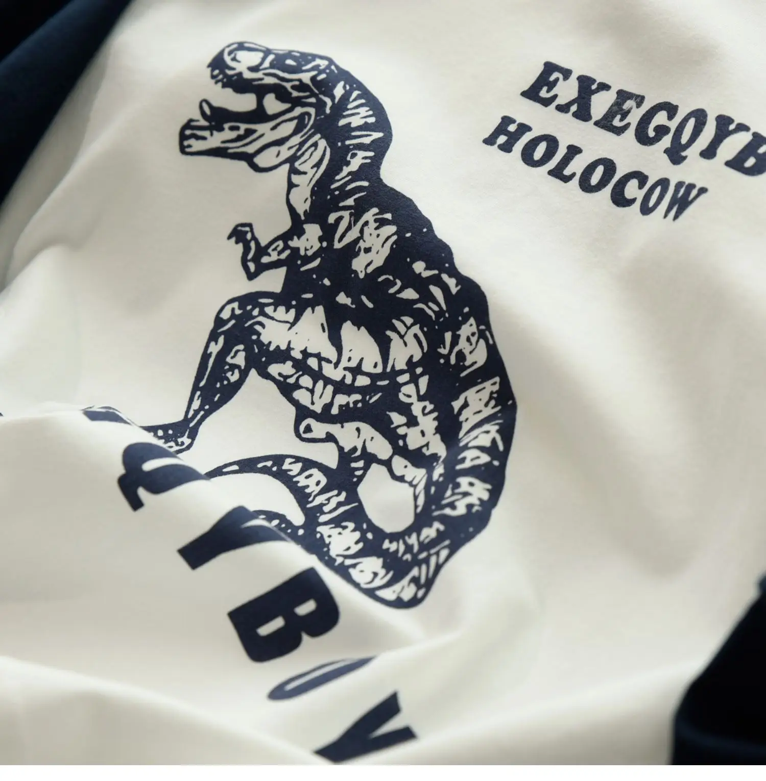 170x Boys Cotton Dinosaur Sweatshirt White Blue — feature 12