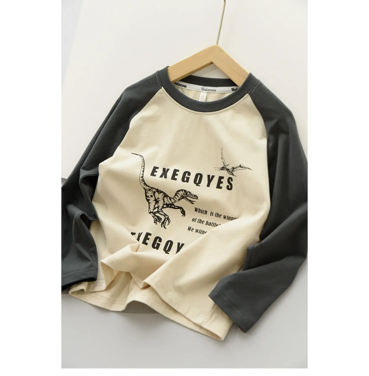 170x Boys Cotton Dinosaur Sweatshirt White Blue — feature 13