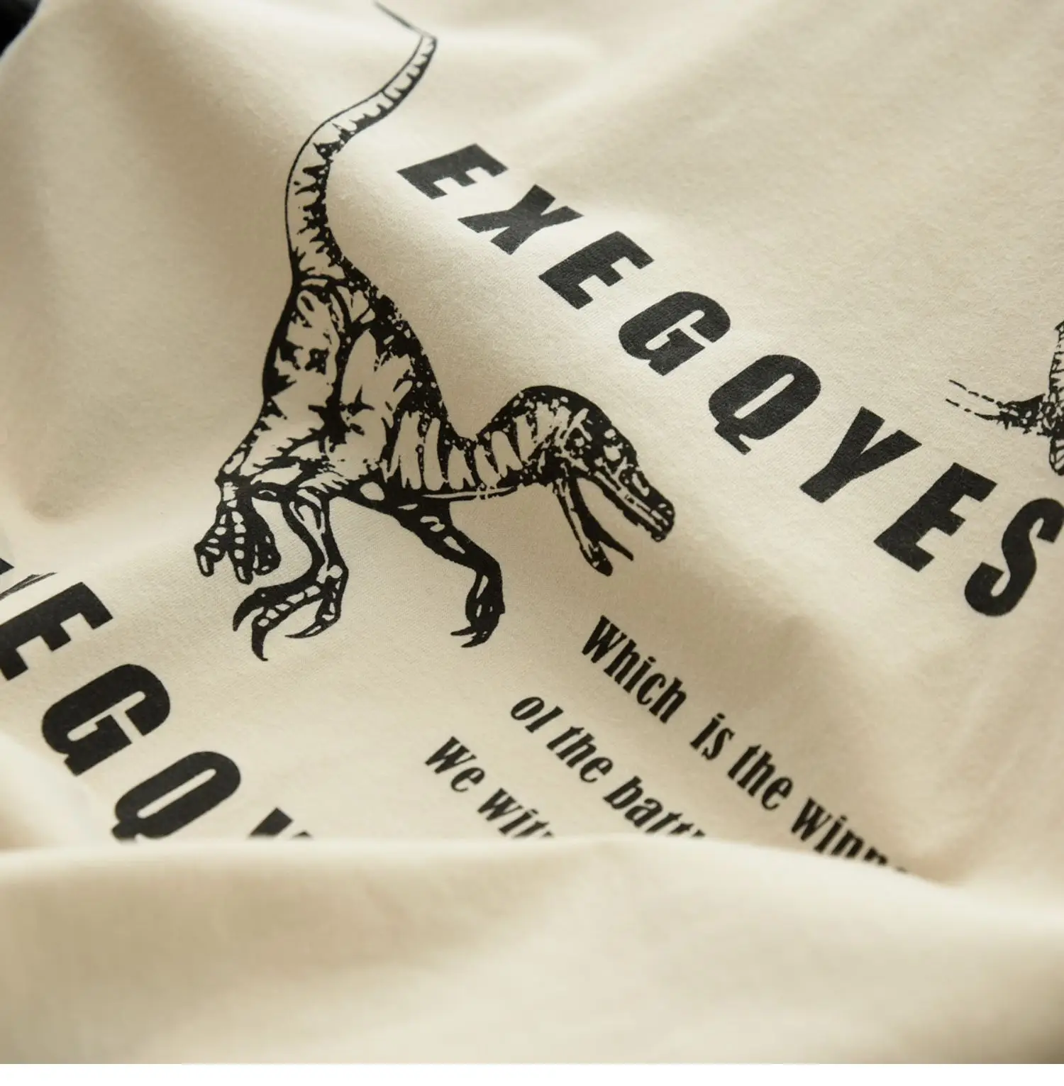 170x Boys Cotton Dinosaur Sweatshirt White Blue — feature 15